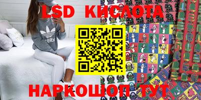 a pvp Кудрово