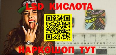 a pvp Кудрово
