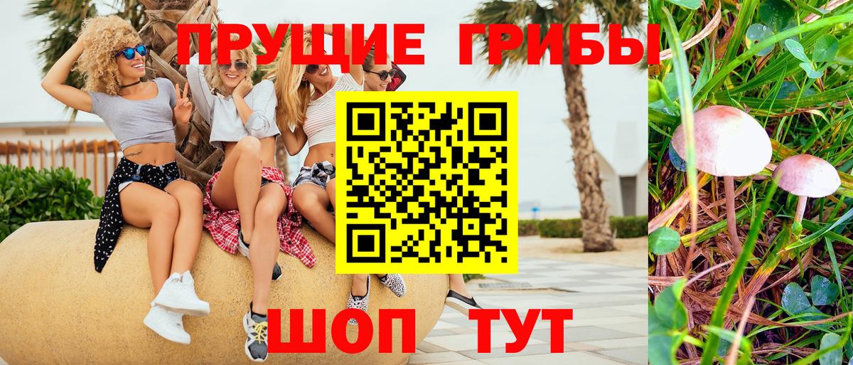 Псилоцибиновые грибы Psilocybe  Вход с VPN  Бердск 